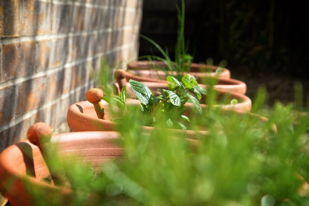 gardening