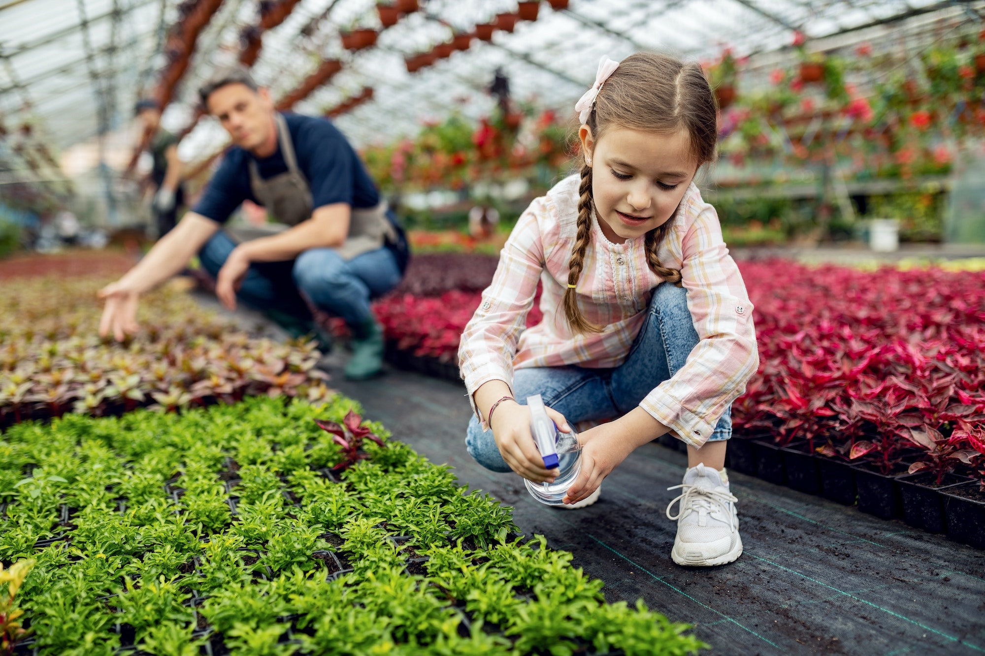 Little girl using spray bottle and nourishing plants in a greenhouse, Eco-Friendly Wellness Retreats