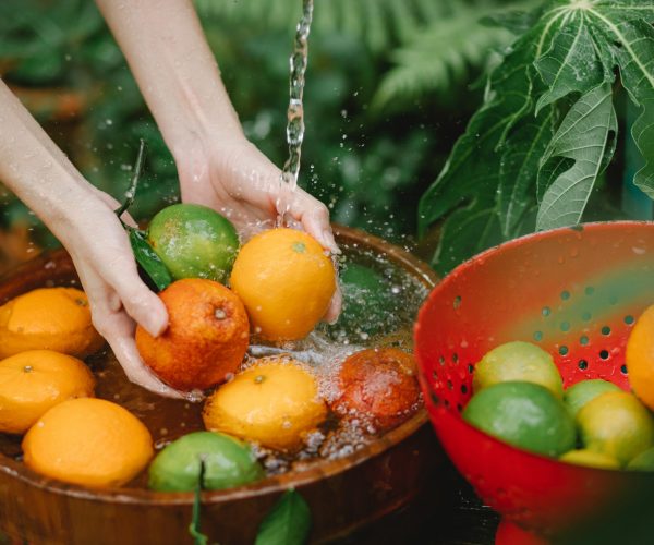Woman washing fresh fruits in tropical orchard