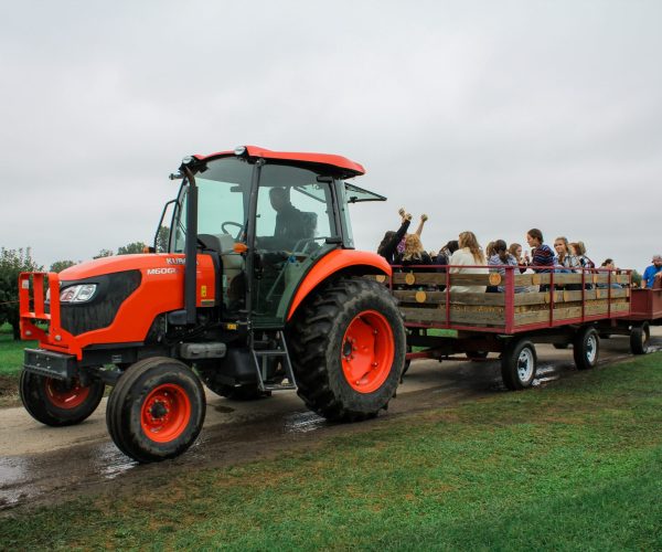 Tractor with people visiting farmland in cart