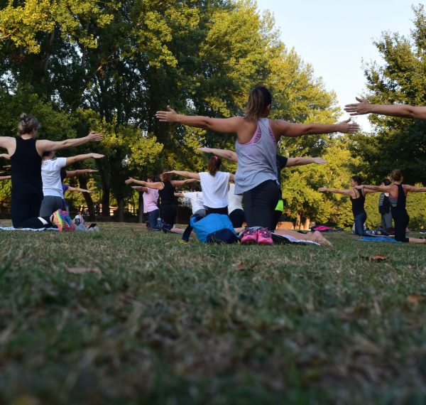 Women Performing Yoga on Green Grass Near Trees