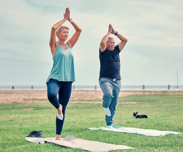 Yoga, fitness and senior couple wellness in park zen, holistic meditation or retirement health for